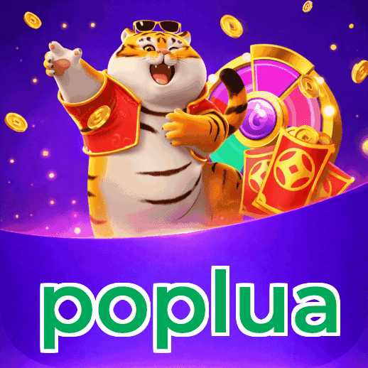 Termos e Condições Transparentes poplua